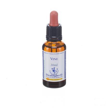 Healing Herbs Vine 30 ml