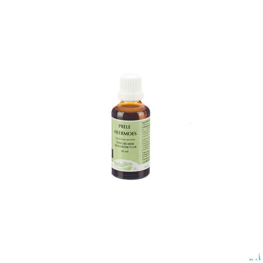 Herbalgem Heermoes Tm 50 ml  -  Herbalgem