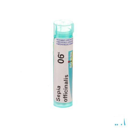 Sepia Officinalis 6k Gr 4g  -  Boiron