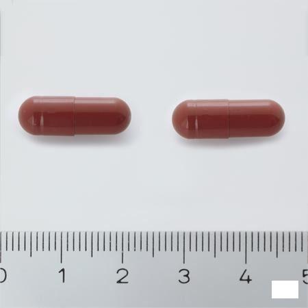 Cranberola Capsule 60 2340487