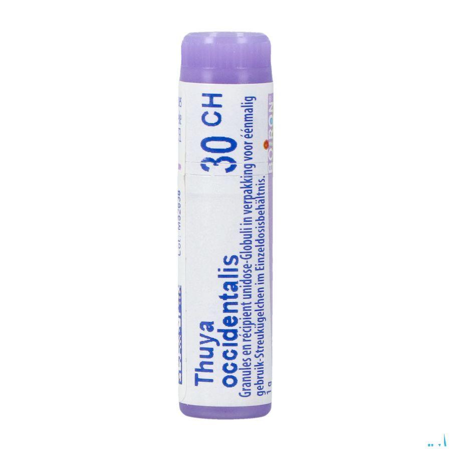 Thuya Occidentalis 30CH Gl  -  Boiron