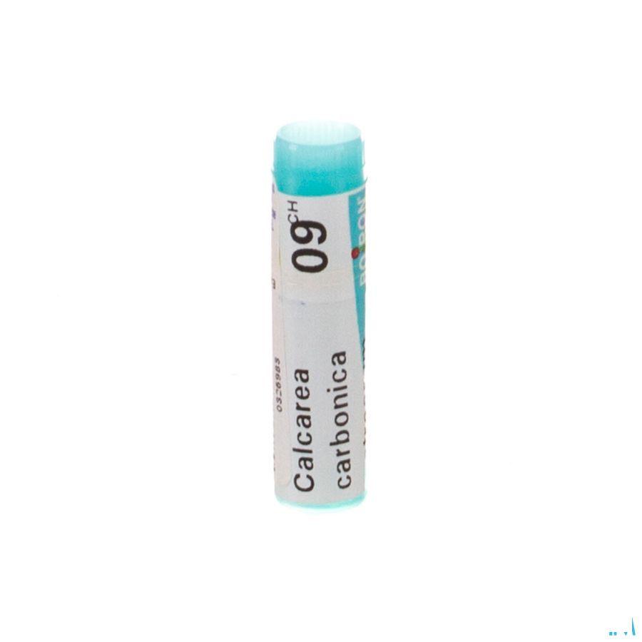 Calcarea Carbonica Ostrearum 9CH Gl  -  Boiron