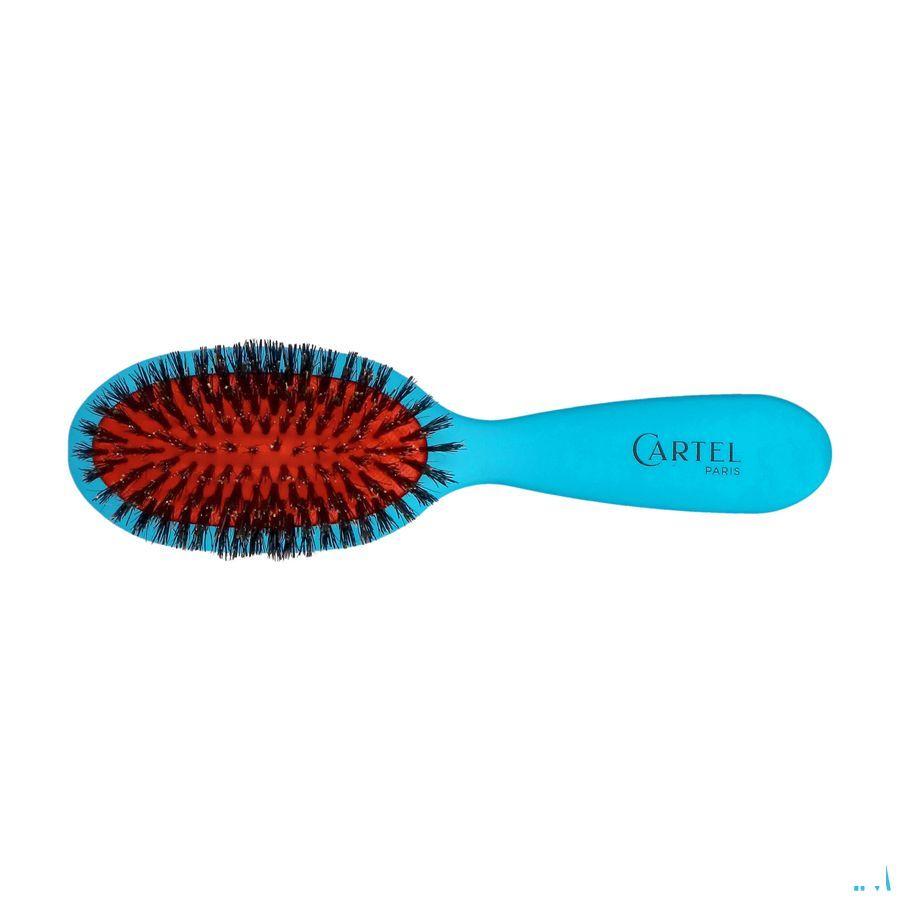 Cartel Brosse Pneumatique 100% Sangl.Sac Couleur  -  Vitry