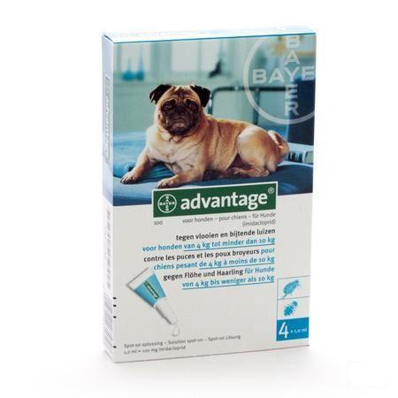 Advantage 100 Honden 4