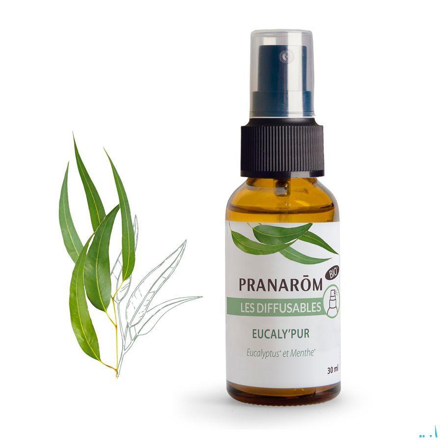 Les Diffusables Eucaly Pur Bio Spray 30 ml