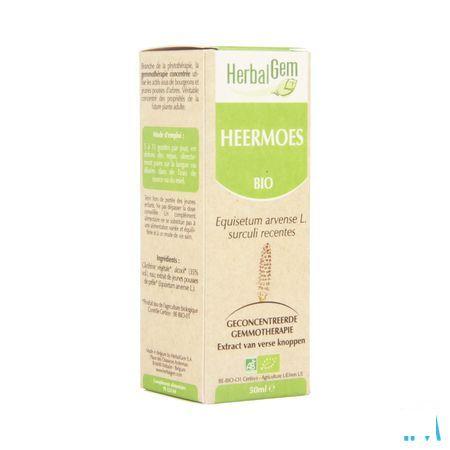 Herbalgem Prele Macerat 50 ml  -  Herbalgem