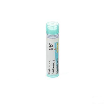Calcarea Carbonica Ostrearum 6k Gr 4g  -  Boiron