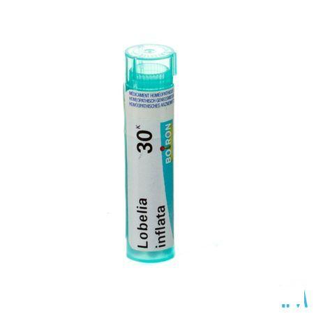 Lobelia Inflata 30K Gr 4g  -  Boiron