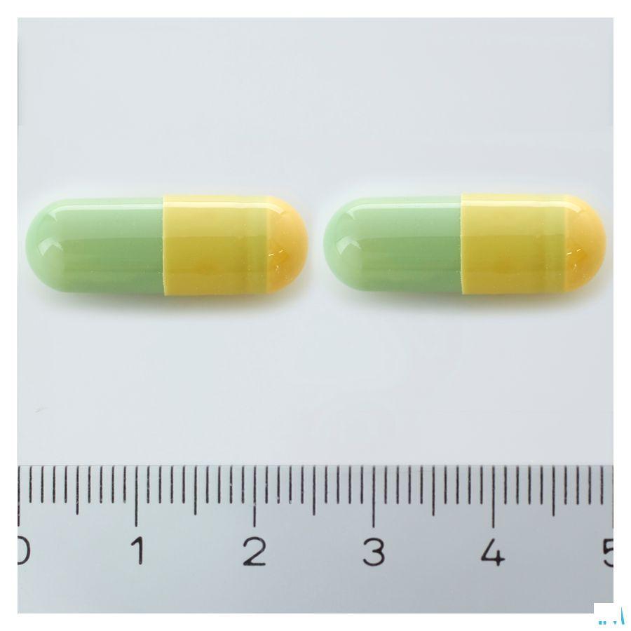 Sacchiflora 250 mg Harde Capsule 50 Blister