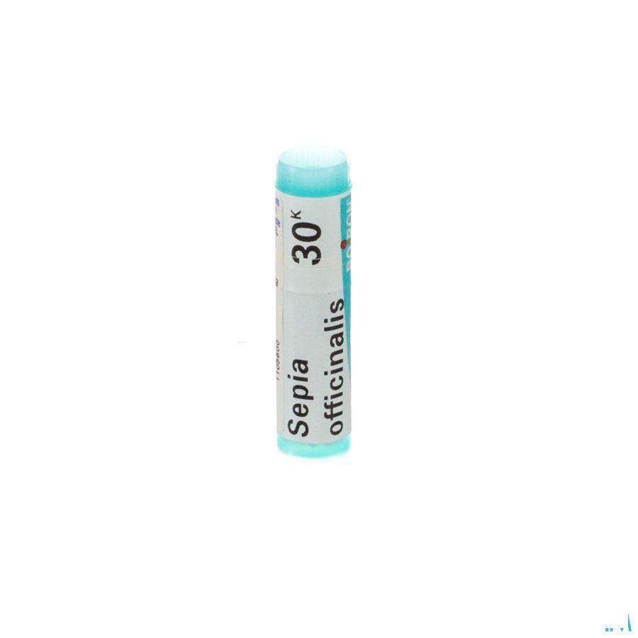 Sepia Officinalis 30K Gl  -  Boiron