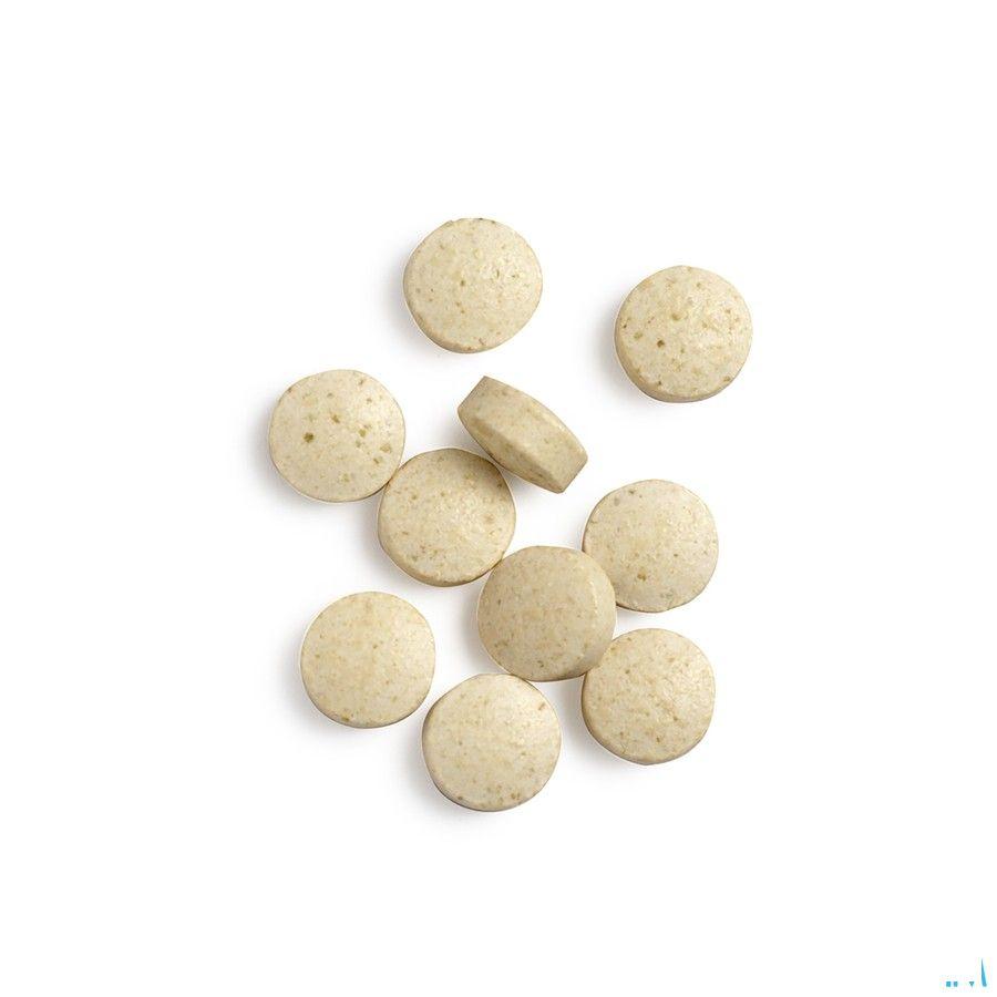 Biotics Intenzyme Forte 100 tabletten  -  Energetica Natura