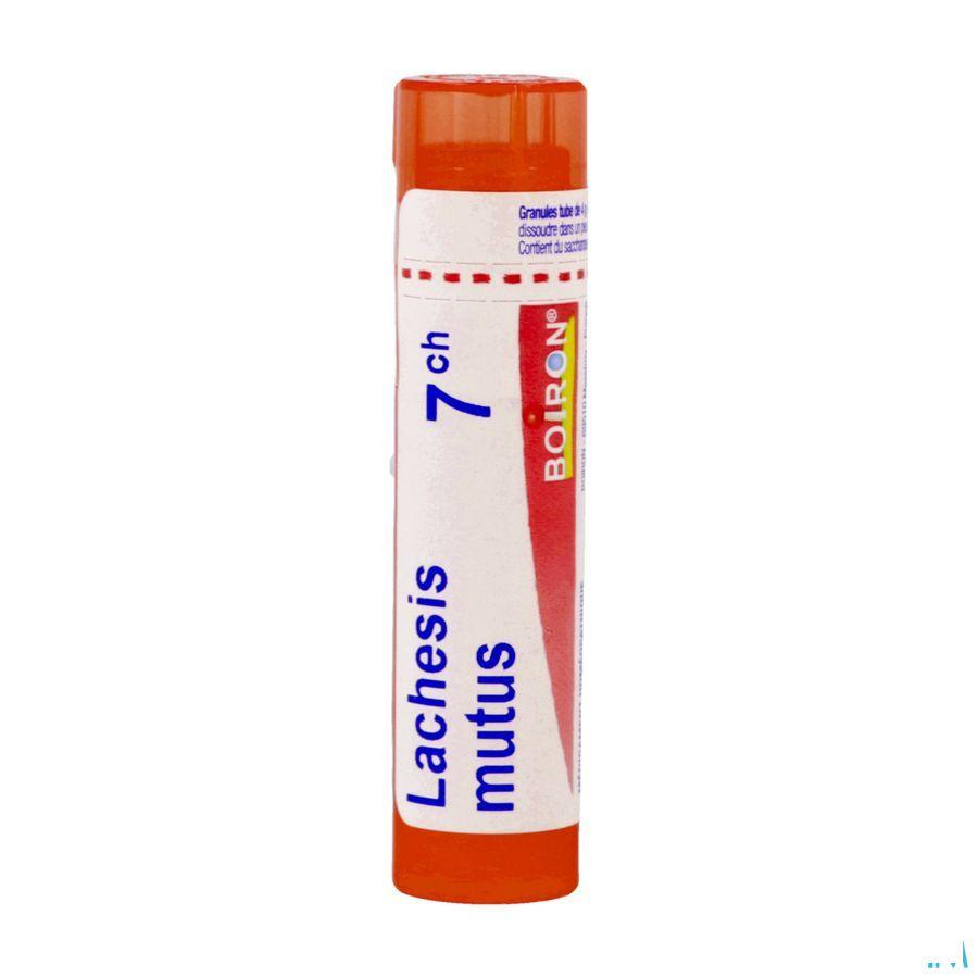 Lachesis Mutus 7CH Gr 4g  -  Boiron