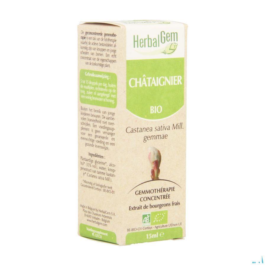 Herbalgem Kastanje Maceraat 15 ml  -  Herbalgem