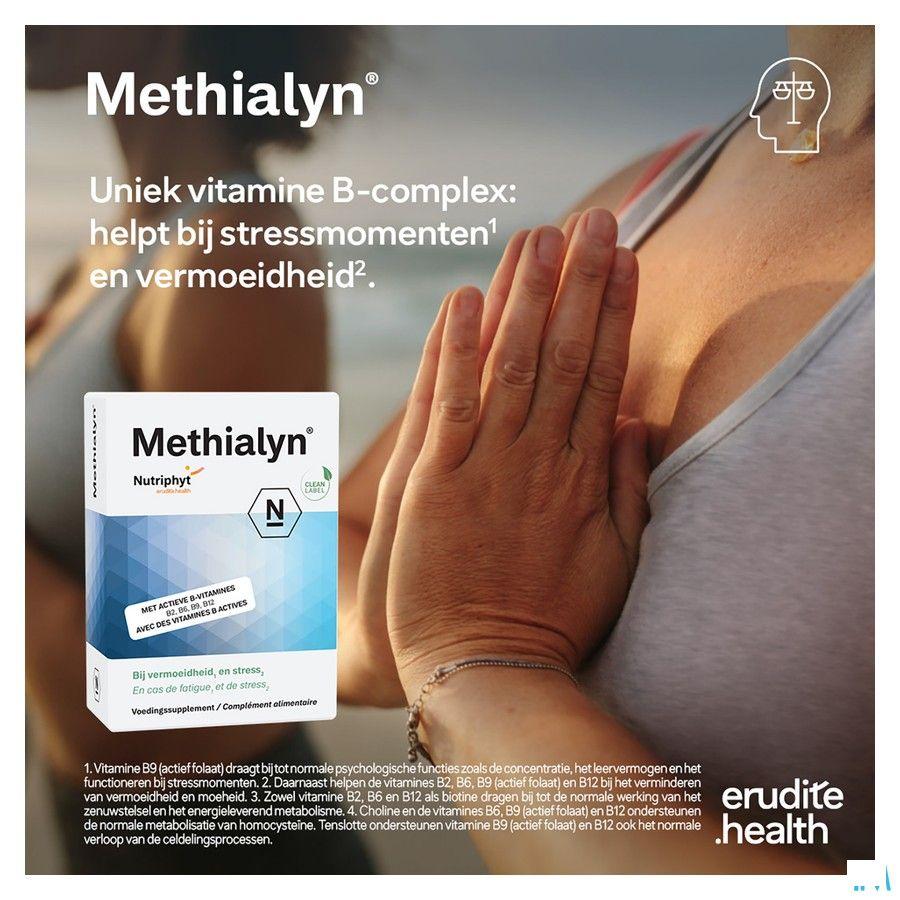Methialyn Comprimes 4x15  -  Nutriphyt