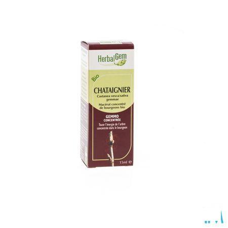 Herbalgem Kastanje Maceraat 15 ml  -  Herbalgem