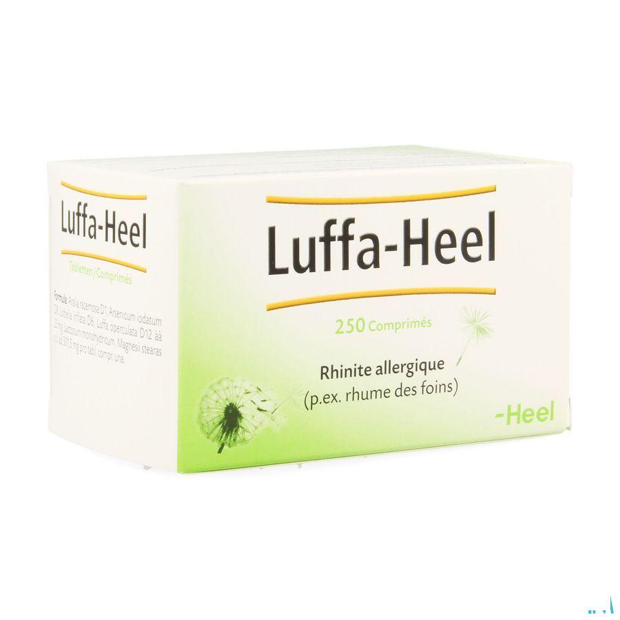 Luffa-heel Tabletten 250  -  Heel