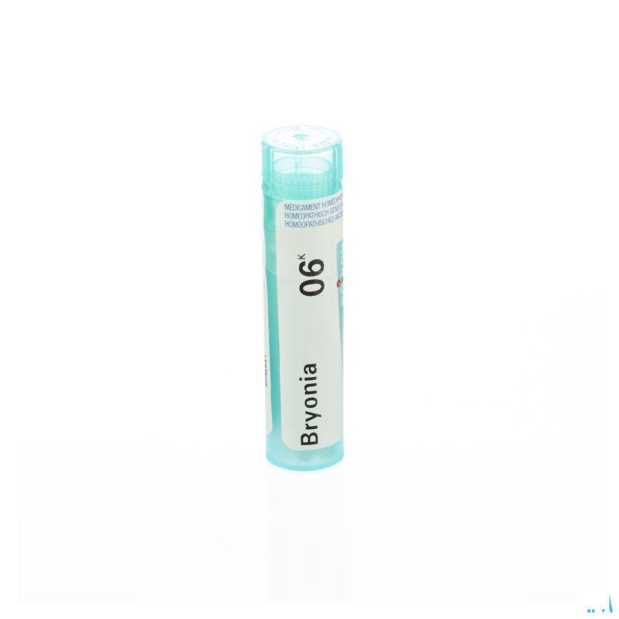 Bryonia 6k Gr 4g  -  Boiron