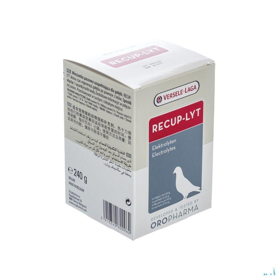 Recup-lyt Poeder Zakje 12x20 gr