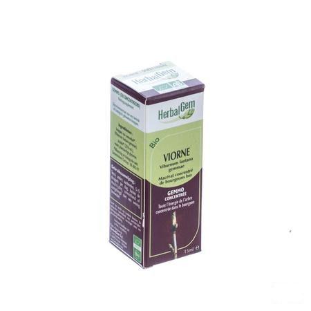Herbalgem Wollige Sneeuwbal Maceraat 15 ml  -  Herbalgem