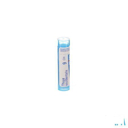 Thuya Occidentalis 9CH Gr 4g  -  Boiron