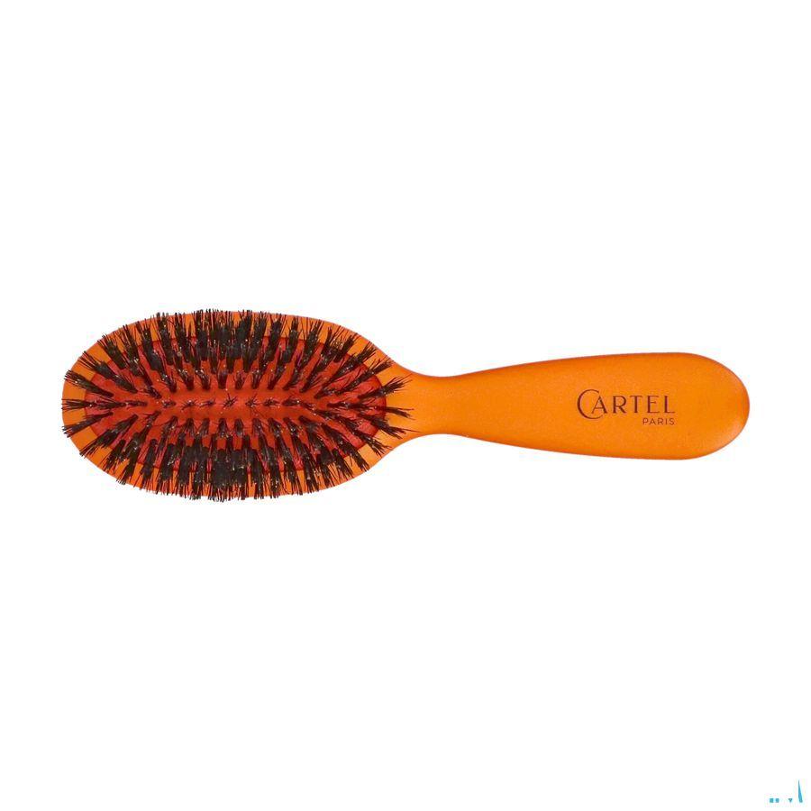 Cartel Brosse Pneumatique 100% Sangl.Sac Couleur  -  Vitry
