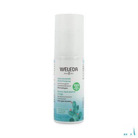 Weleda Brume Hydratante Visage 24H 100 ml  -  Weleda