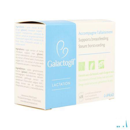 Galactogil Lactation Poudre Sachets 24