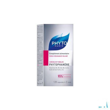 Phytophanere Chev Anti chute + Zinc Capsule 120 