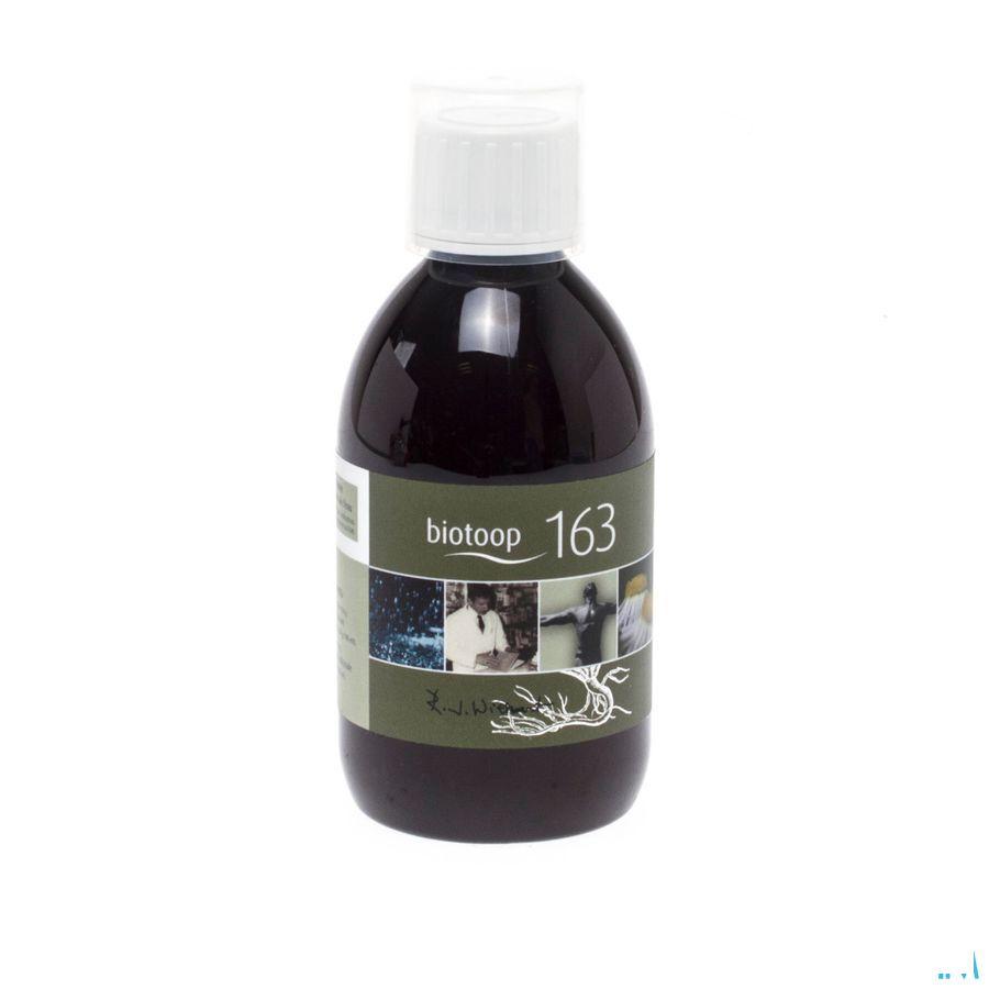 Biotoop Fytocomplex 163 250 ml  -  Bioradix