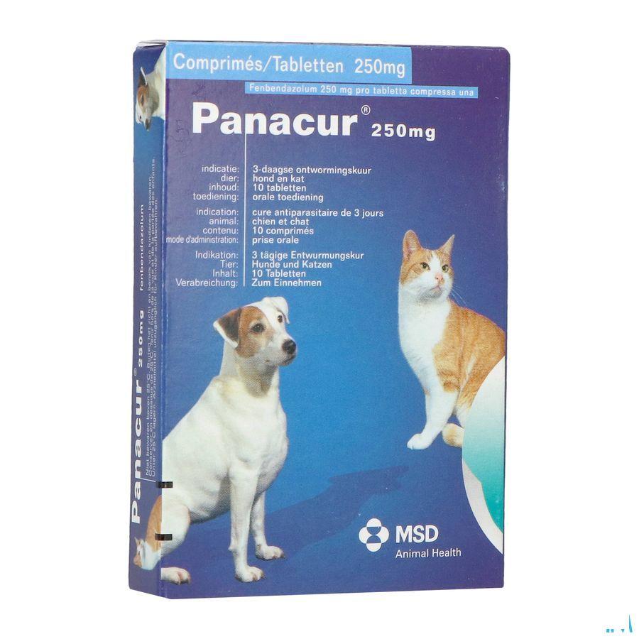 Panacur Comprimes Vet 10 X 250 mg 