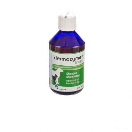 Dermazyme Losham Base Shampooing 240 ml  -  Ecuphar