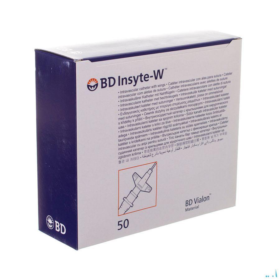 Bd Insyte-W Cath.Iv 18G 2 1,3X45Mm Groen 50 381346