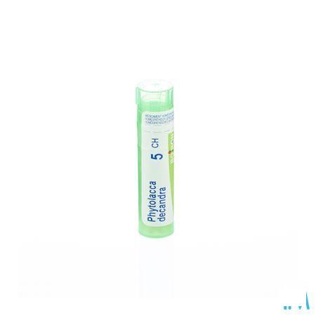 Phytolacca Decandra 5CH Gr 4g  -  Boiron