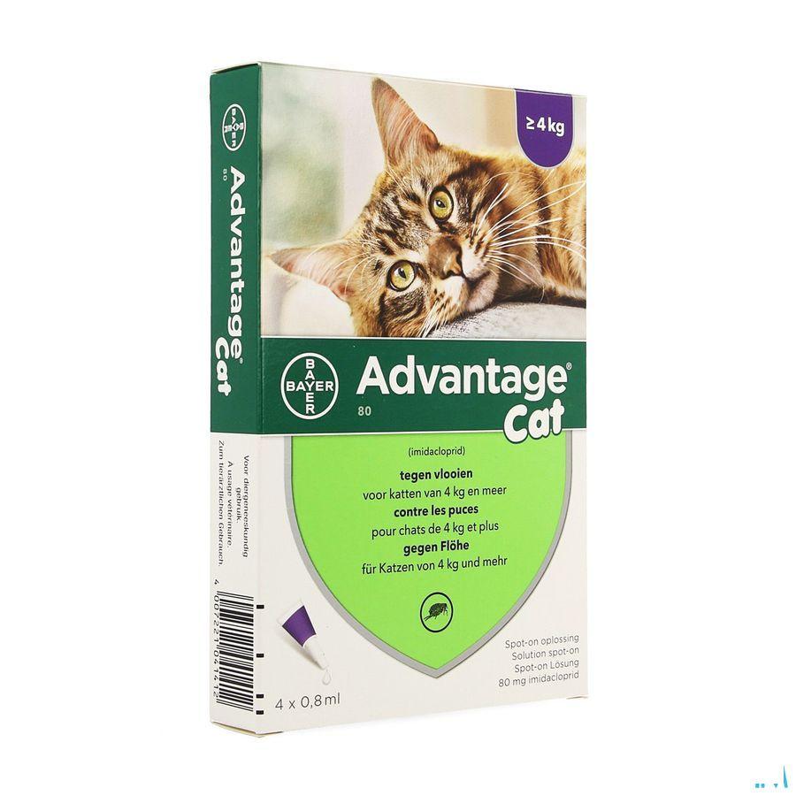 Advantage 80 Katten >4kg 4x0,8ml
