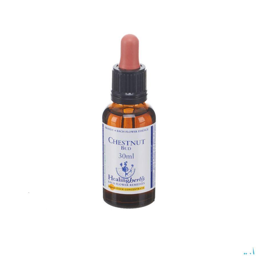 Healing Herbs Chestnut Bud 30 ml