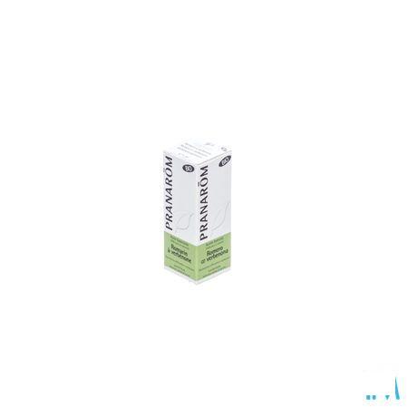Romarin Verbenone Bio Essentiele Olie 30 ml  -  Pranarom