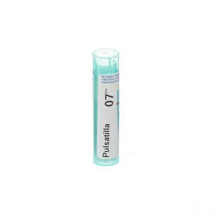 Pulsatilla 7CH Gr 4g  -  Boiron