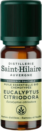 Eucalyptus Citriodora Huile Essentielle 10 ml  -  Bioholistic Diffusion