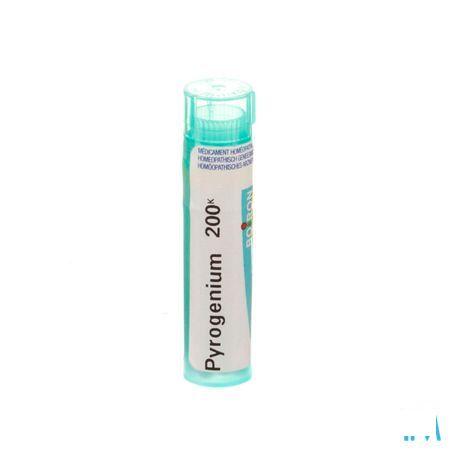 Pyrogenium 200K Gr 4g  -  Boiron