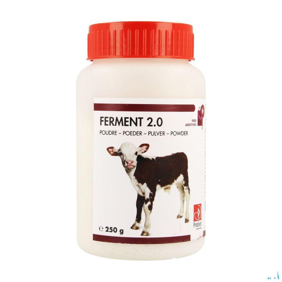 Ferments 2.0 Pdr Pot 250 g