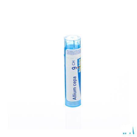 Allium Cepa 9CH Gr 4g  -  Boiron