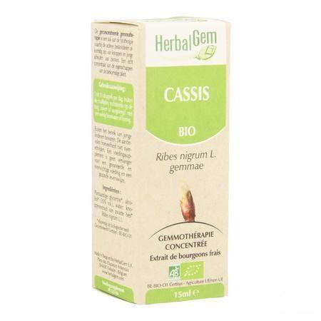 Herbalgem Zwarte Bes Maceraat 15 ml  -  Herbalgem