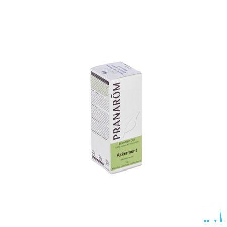 Munt Essentiele Olie 10 ml  -  Pranarom