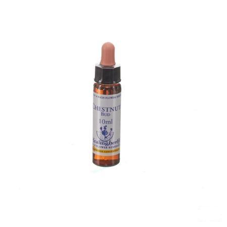 Healing Herbs Chestnut Bud 10 ml