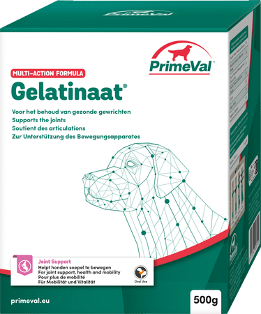 Primeval Honden Artrose Gelatinaat 500 gr 