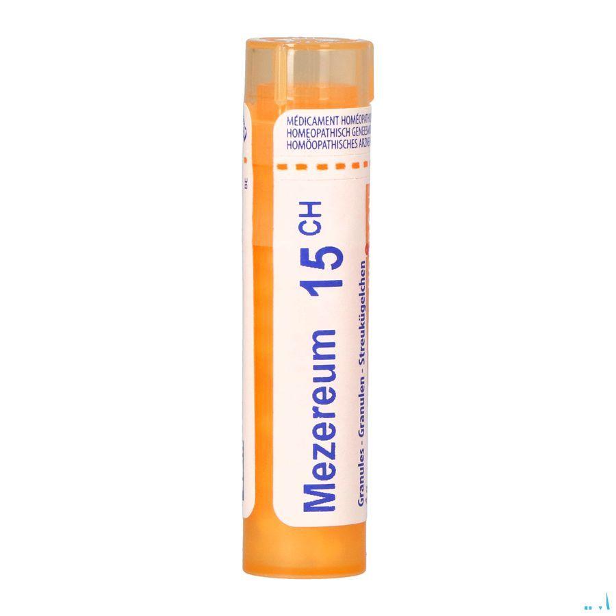 Mezereum 15CH Gr 4g  -  Boiron