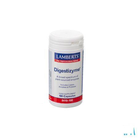 Lamberts Digestizyme V-Capsule 100  -  Health Benefits 08