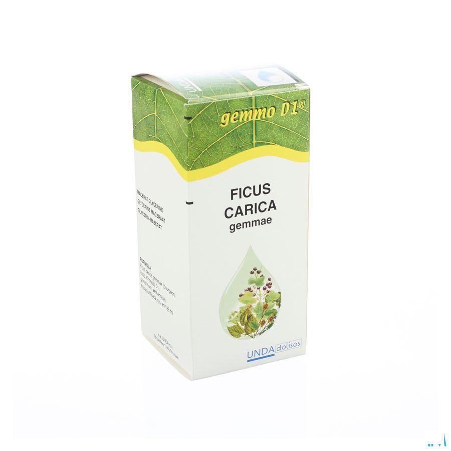 Ficus Carica Gemmo D1 125 ml  -  Boiron
