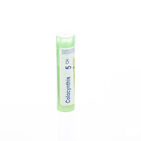 Colocynthis 5CH Gr 4g  -  Boiron