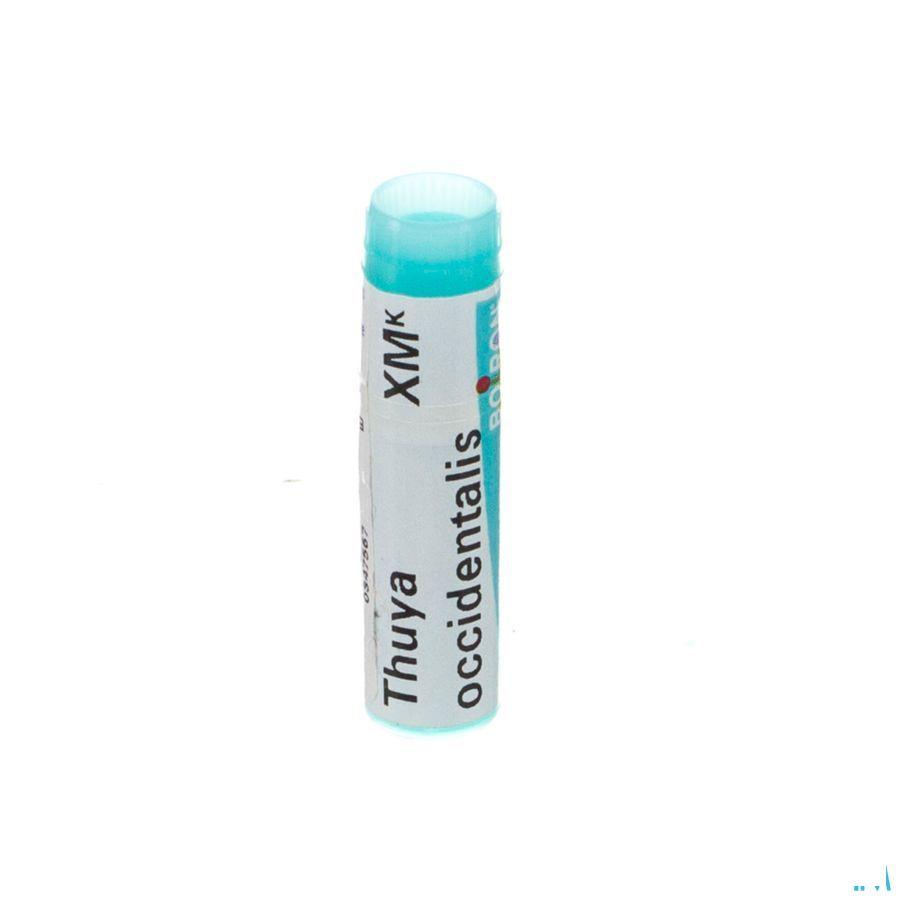 Thuya Occidentalis XMK Gl  -  Boiron